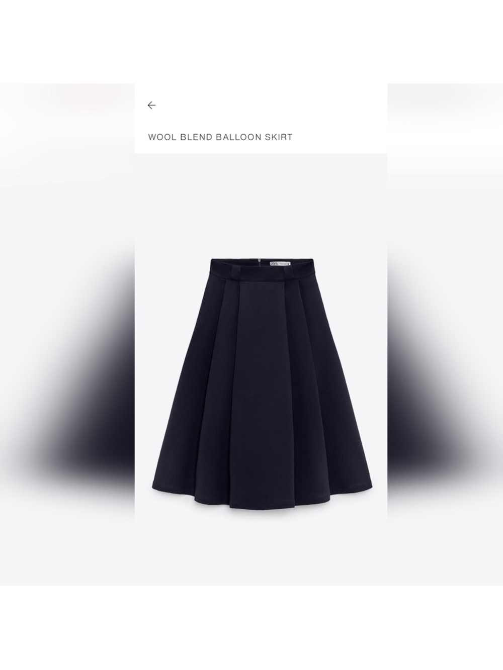 NWT Zara A Line skirt